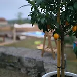 Wildstone Krusi - Pool & 2 * Подгориця