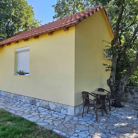 San Kruse 2