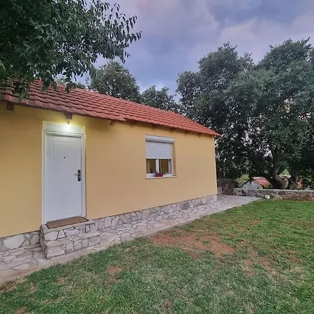 San Kruse 2