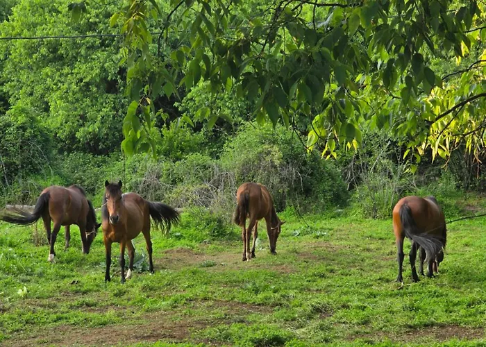 Wildstone Krusi - Pool & 2 Podgorica