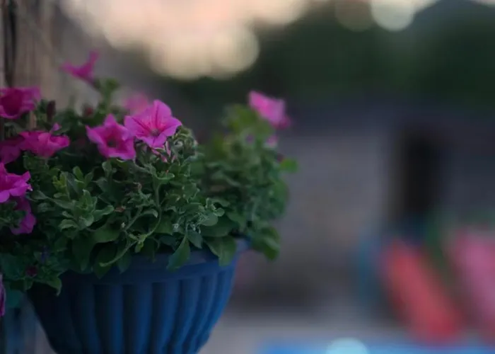 Lägenhet Wildstone Krusi - Pool & 2 *