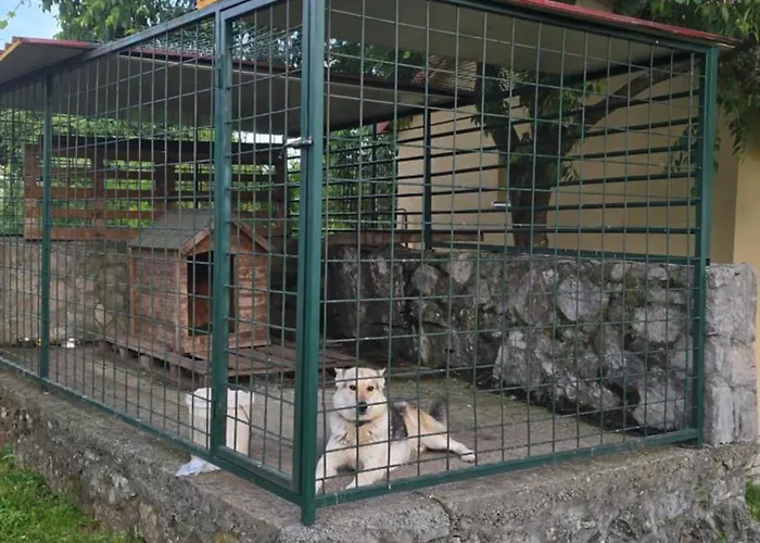 Wildstone Krusi - Pool & 2 * بودغوريتْسا